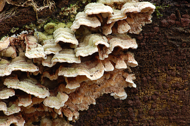 Criticatemi pure senza piet�!